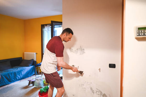 Best Mold Remediation Services  in Window Rock, AZ